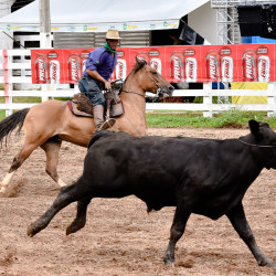 Rodeio 2016 - Provas Campeiras