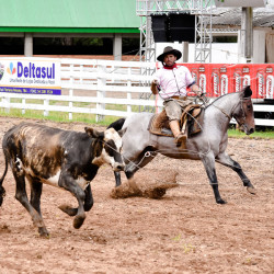 Rodeio 2016 - Provas Campeiras