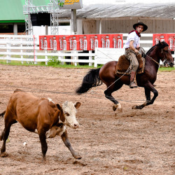 Rodeio 2016 - Provas Campeiras