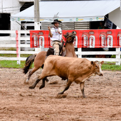 Rodeio 2016 - Provas Campeiras
