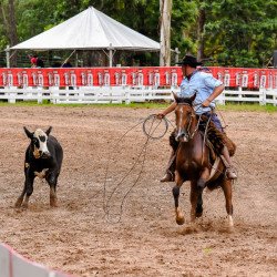 Rodeio 2016 - Provas Campeiras