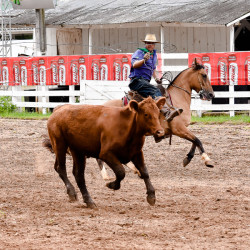 Rodeio 2016 - Provas Campeiras