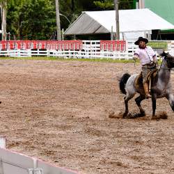 Rodeio 2016 - Provas Campeiras