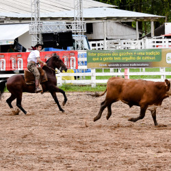 Rodeio 2016 - Provas Campeiras