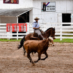 Rodeio 2016 - Provas Campeiras