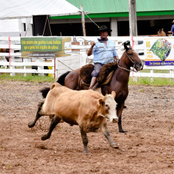 Rodeio 2016 - Provas Campeiras
