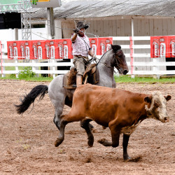 Rodeio 2016 - Provas Campeiras