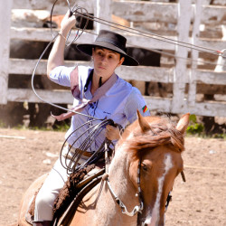 Rodeio 2016 - Provas Campeiras