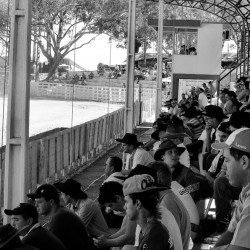 Rodeio 2016 - Provas Campeiras