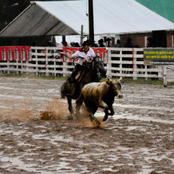 Rodeio 2016 - Provas Campeiras