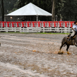 Rodeio 2016 - Provas Campeiras