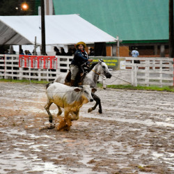 Rodeio 2016 - Provas Campeiras