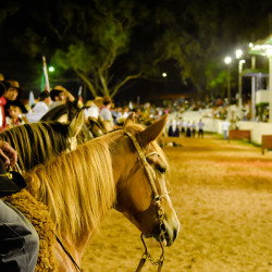 Rodeio 2016 - Abertura Oficial