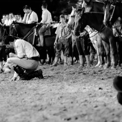 Rodeio 2016 - Abertura Oficial