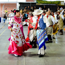 Rodeio 2016 - Dan&ccedil;as Tradicionais