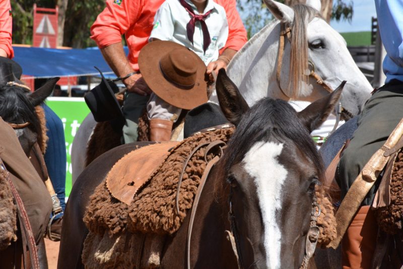 Bernardo Rossi Colombo é homenageado no X Rodeio Internacional de Soledade