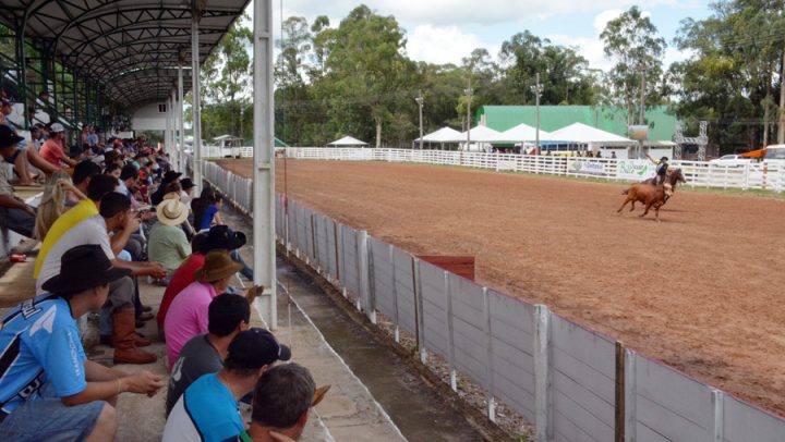 Laçadores começaram mostrar suas habilidades nas provas campeiras