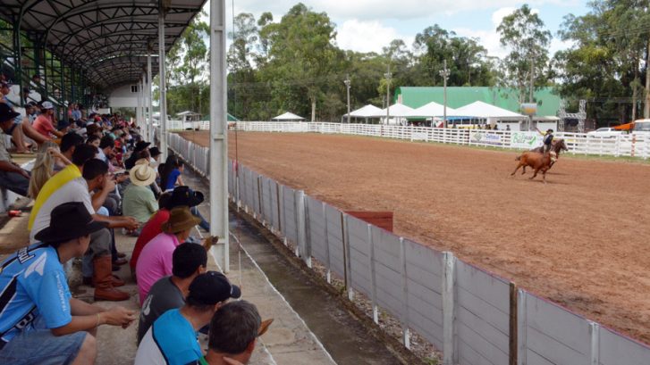 Laçadores começaram mostrar suas habilidades nas provas campeiras