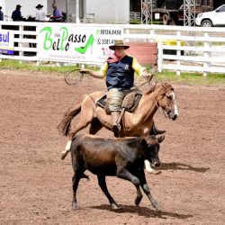 Rodeio 2017 - Provas Campeiras