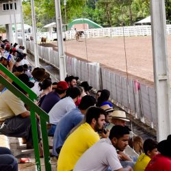 Rodeio 2017 - Provas Campeiras