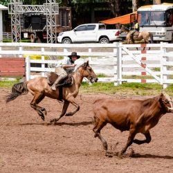 Rodeio 2017 - Provas Campeiras