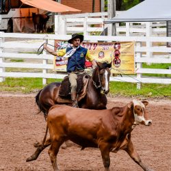 Rodeio 2017 - Provas Campeiras