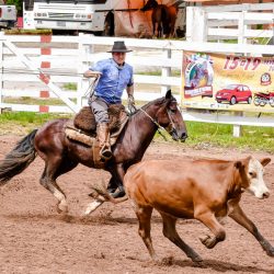 Rodeio 2017 - Provas Campeiras