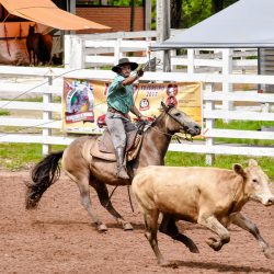 Rodeio 2017 - Provas Campeiras