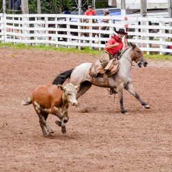 Rodeio 2017 - Provas Campeiras