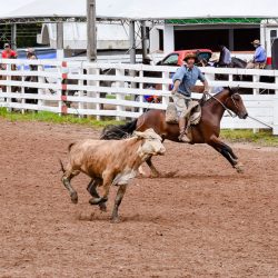 Rodeio 2017 - Provas Campeiras