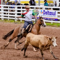 Rodeio 2017 - Provas Campeiras