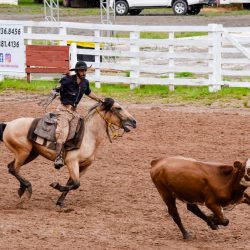 Rodeio 2017 - Provas Campeiras