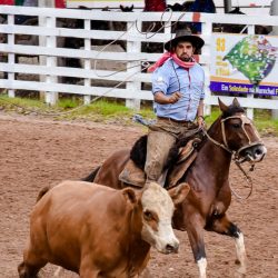 Rodeio 2017 - Provas Campeiras