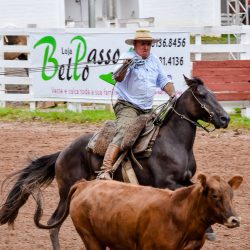 Rodeio 2017 - Provas Campeiras