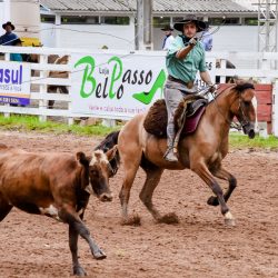 Rodeio 2017 - Provas Campeiras