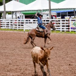 Rodeio 2017 - Provas Campeiras