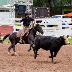 Rodeio 2017 - Provas Campeiras