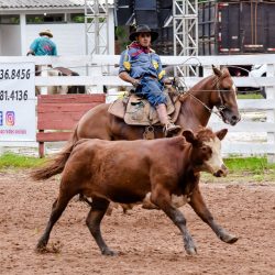 Rodeio 2017 - Provas Campeiras