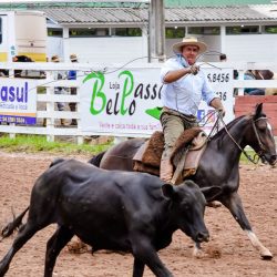 Rodeio 2017 - Provas Campeiras