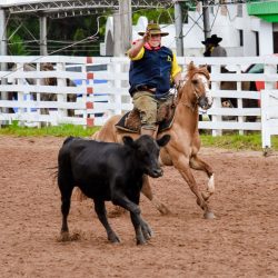 Rodeio 2017 - Provas Campeiras