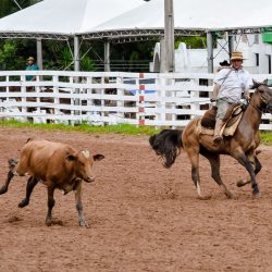 Rodeio 2017 - Provas Campeiras