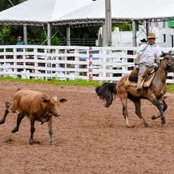 Rodeio 2017 - Provas Campeiras