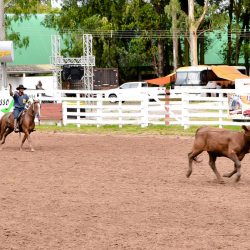 Rodeio 2017 - Provas Campeiras