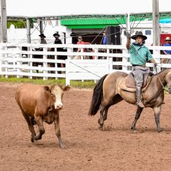 Rodeio 2017 - Provas Campeiras