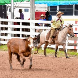 Rodeio 2017 - Provas Campeiras