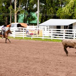 Rodeio 2017 - Provas Campeiras