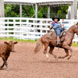 Rodeio 2017 - Provas Campeiras