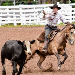 Rodeio 2017 - Provas Campeiras