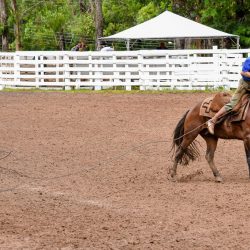 Rodeio 2017 - Provas Campeiras