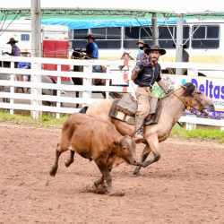 Rodeio 2017 - Provas Campeiras